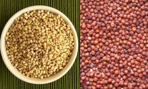 Picture for illustrative purpose only