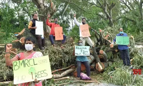 Forest cover declines by 5 sq km in a decade