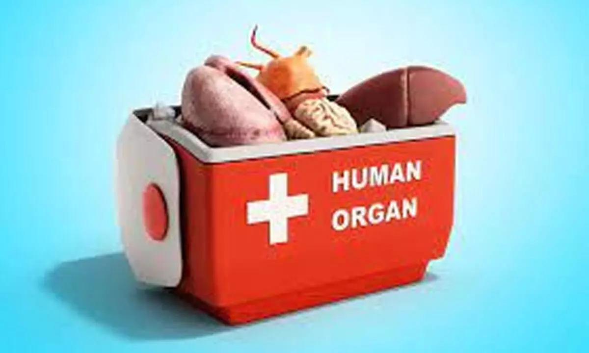 State govt has no data on live organ transplantations done since 2014
