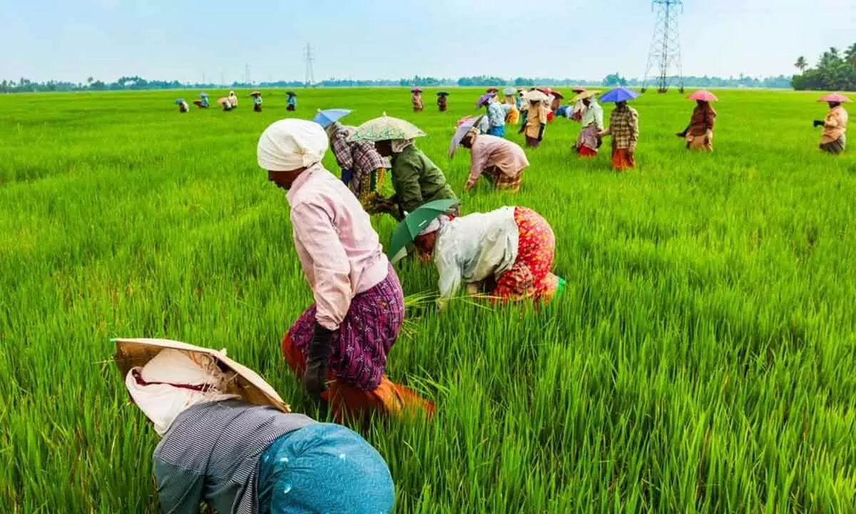 Telangana sets new benchmarks in agriculture sector