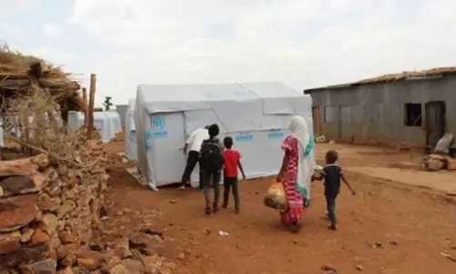 Humanitarian aid remains priority to ensure peoples recovery from conflict in Ethiopia: FAO