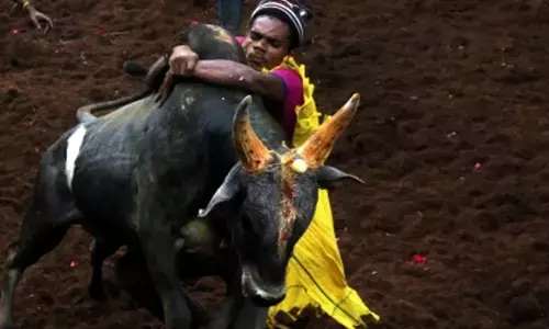 Tamil Nadu villages gear up for Jallikattu