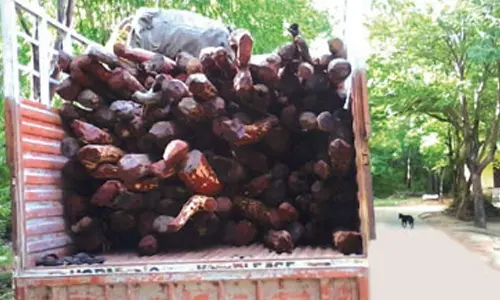 For representational purpose