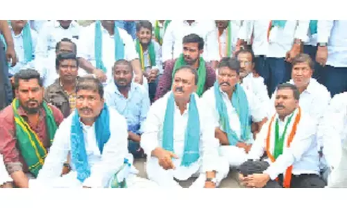 Congress joins chorus against Master Plan