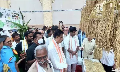 Mizoram Governor K Hari Babu and IT Minister Gudivada Amarnath visiting the stalls at Organic Mela-2023 in Visakhapatnam on Friday