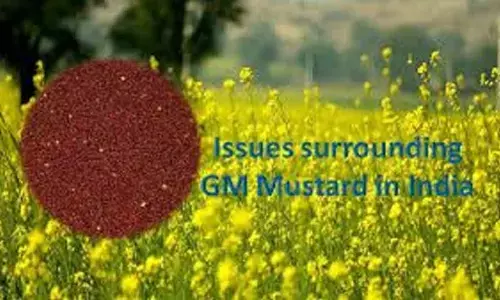 Bridging Indias huge edible oil gap