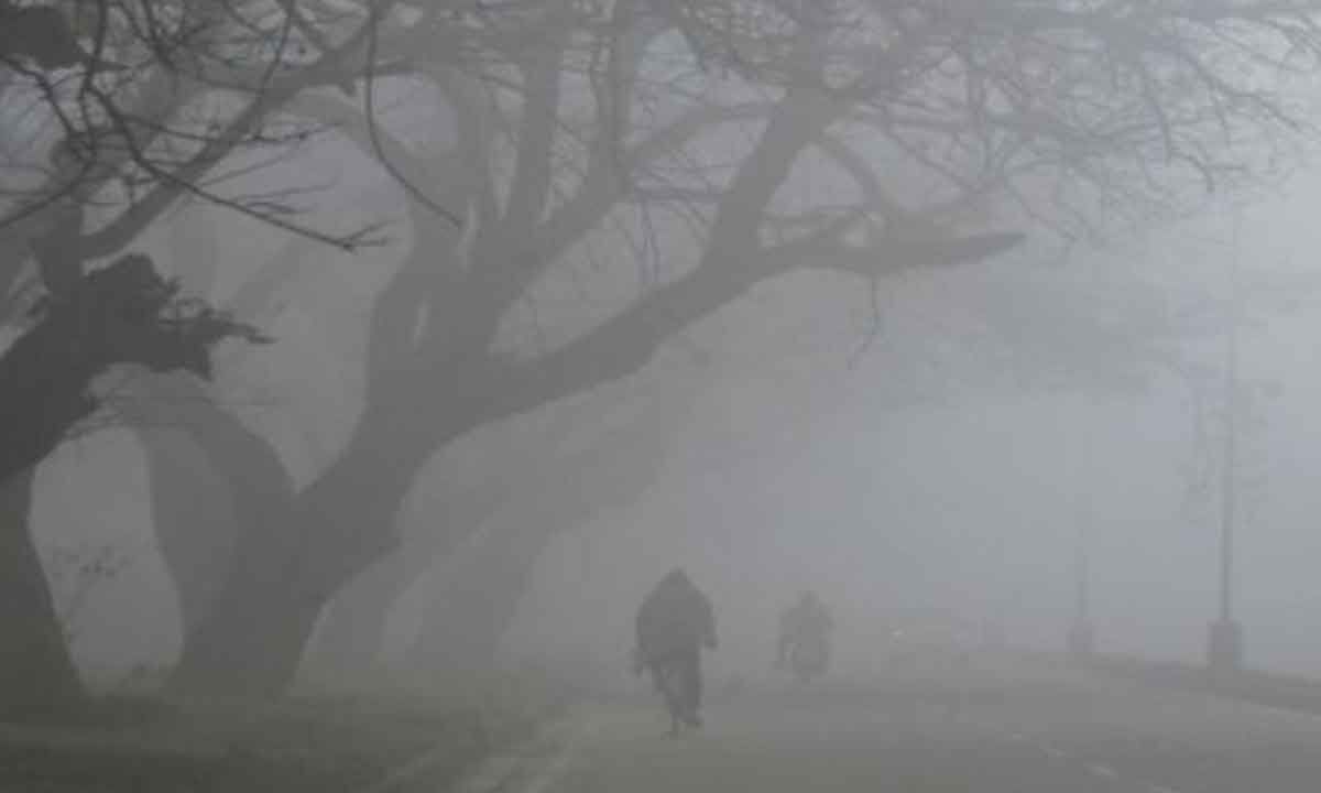 cold-wave-yellow-warning-for-3-districts