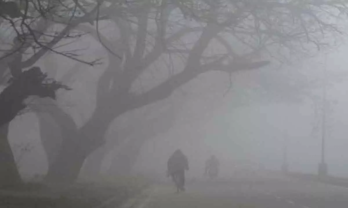 Cold wave: Yellow warning for 3 districts