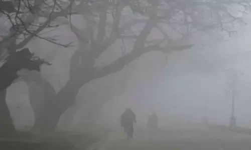 Cold wave: Yellow warning for 3 districts Cold wave: Yellow warning for 3 districts