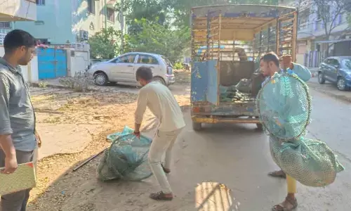 12 children injured in stray dogs attack