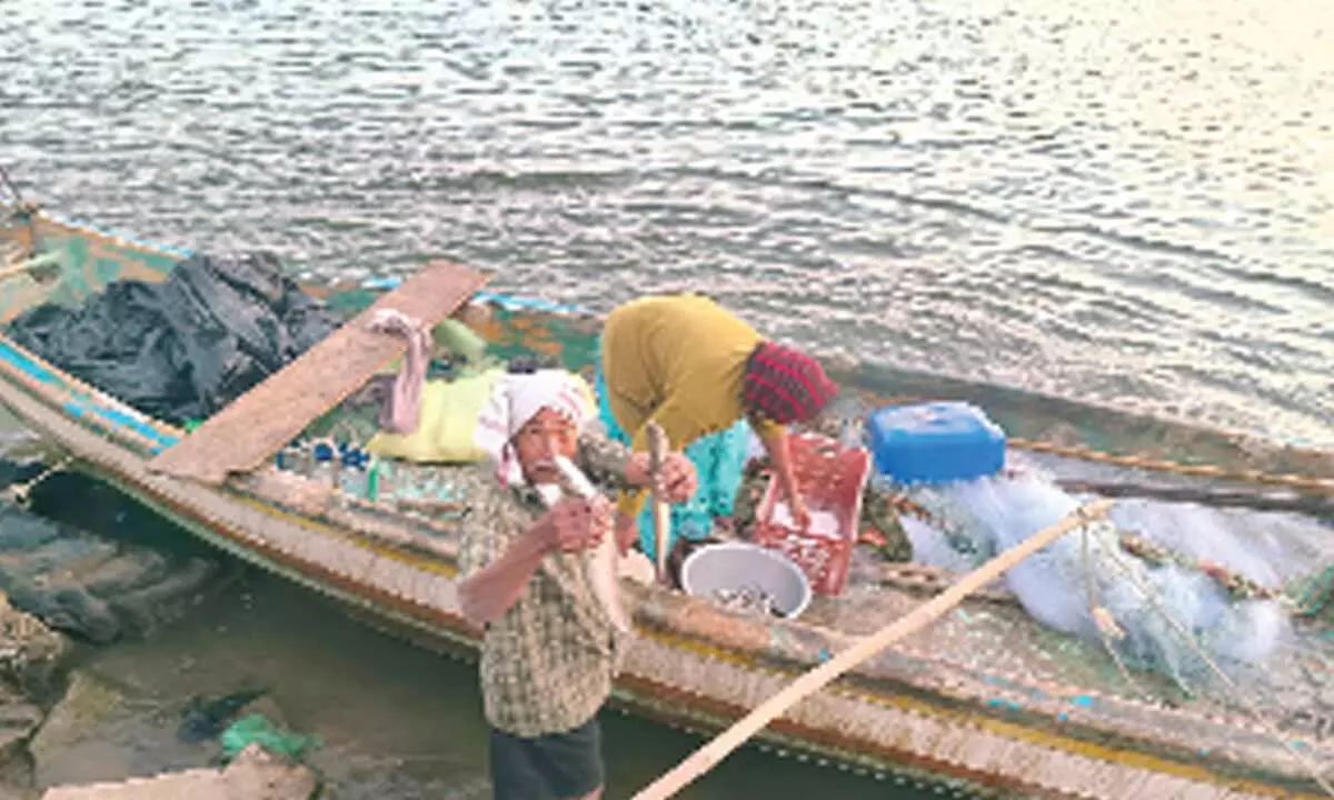 A fisherman showing his catch of fish at Kumadadevam of Tallapudi mandal in East Godavari district