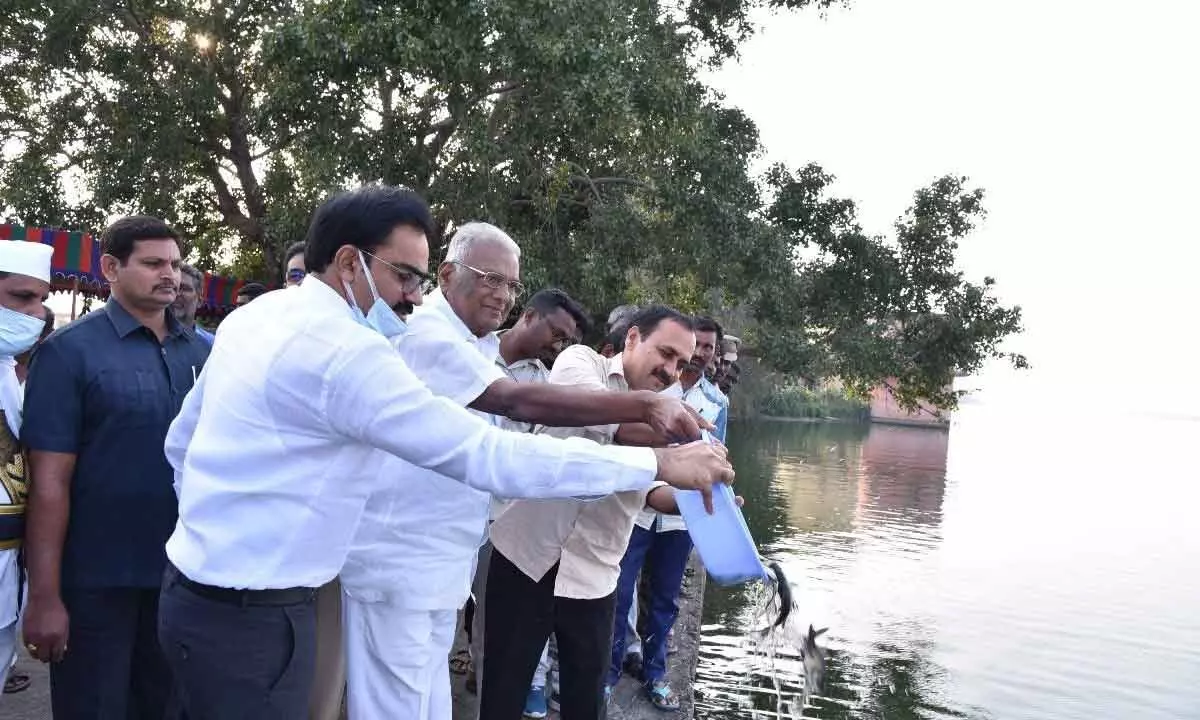 District Collector M Venugopal Reddy, MLC Murugudu Hanumantha Rao and MLA Alla Rama Krishna Reddy releasing fish seeds into Krishna river at Undavalli on Tuesday