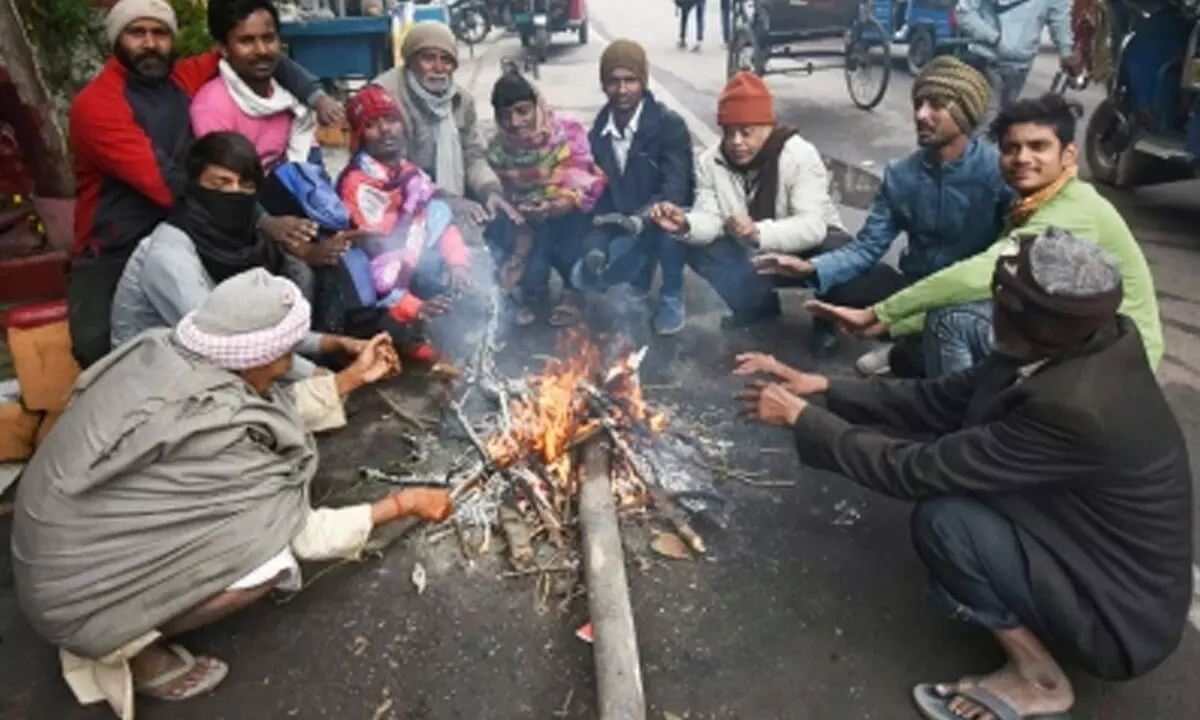 Cold wave conditions likely in northern, central states after Jan 14: IMD