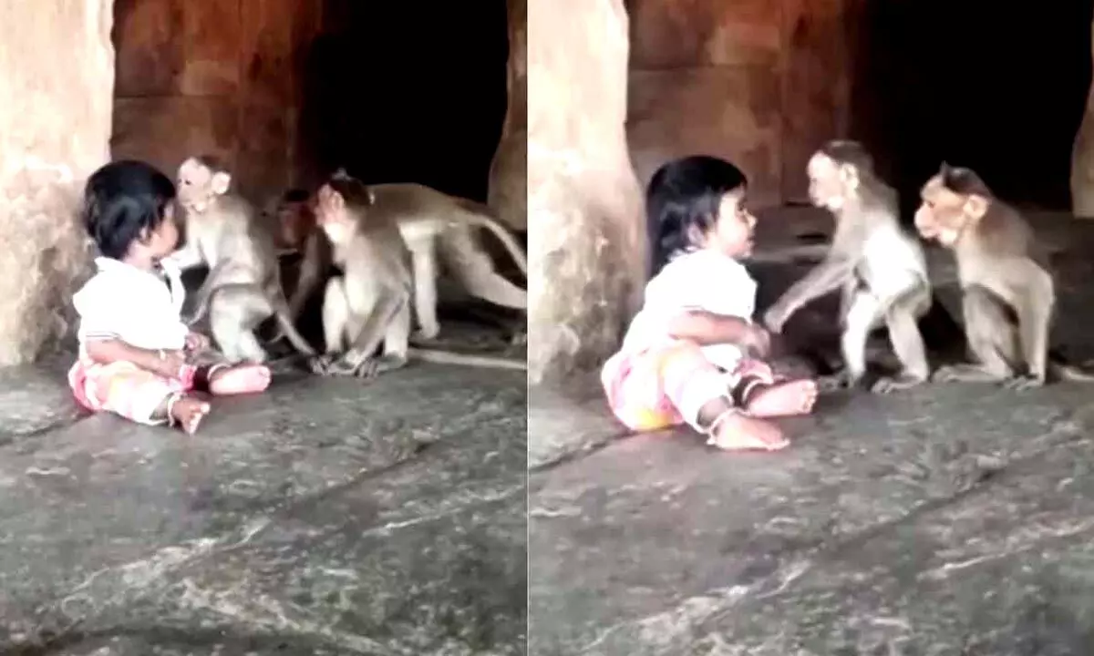 A cute little child and a few newborn monkeys may be seen in a trending video playing together while sitting together.
