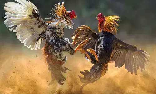 Top 5 Andhra Pradesh News Updates Today