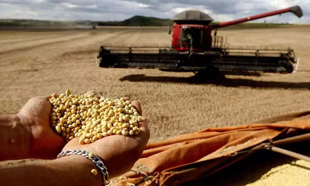 Brazil estimates over 301 mn tonnes in grain production for 2022-2023