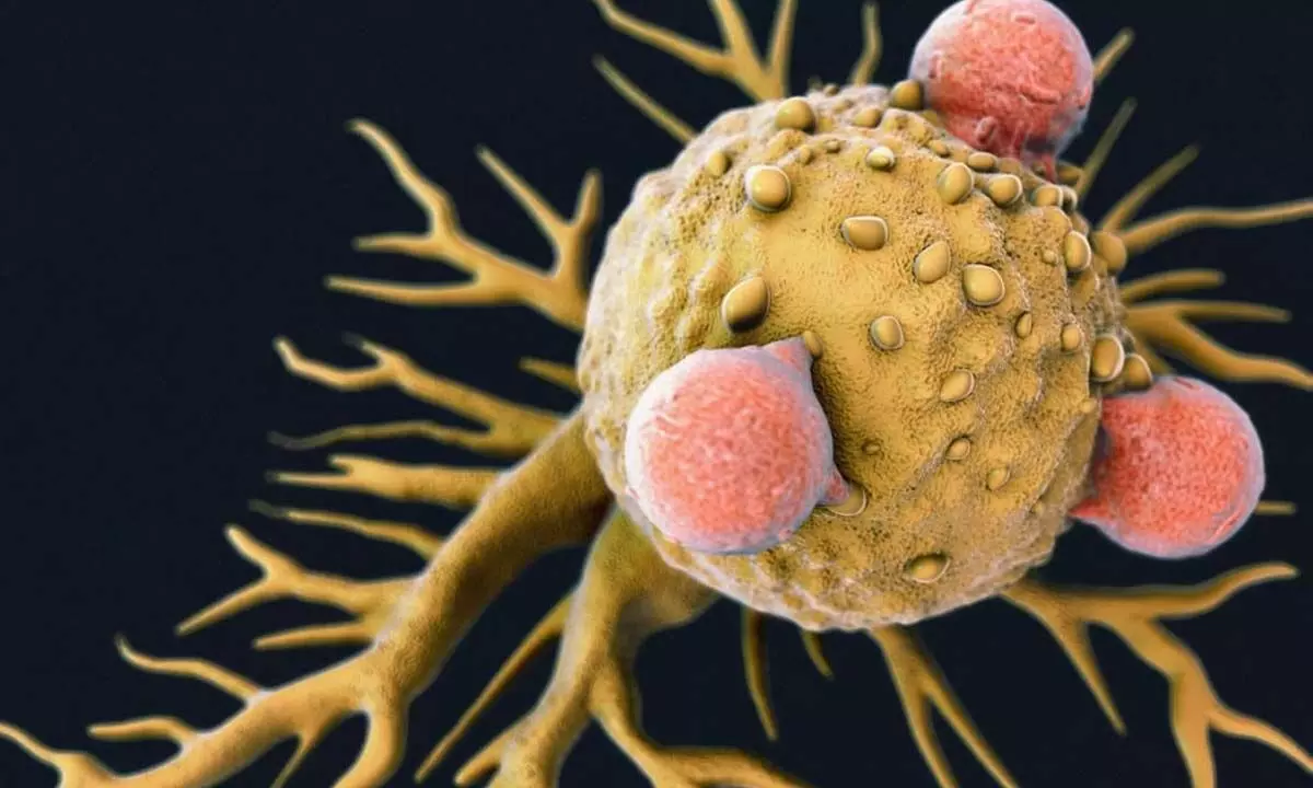 Triggering cancer cells to become normal