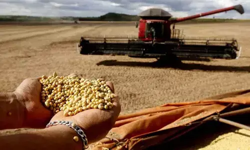 Brazil estimates over 301 mn tonnes in grain production for 2022-2023
