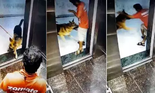 Hyderabad: Food delivery boy jumps off third floor to escape from dog attack