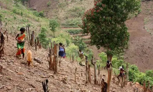 Will Podu land farmers get forest right?