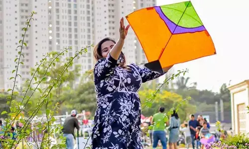 Kite sales decrease as fewer kids seem keen