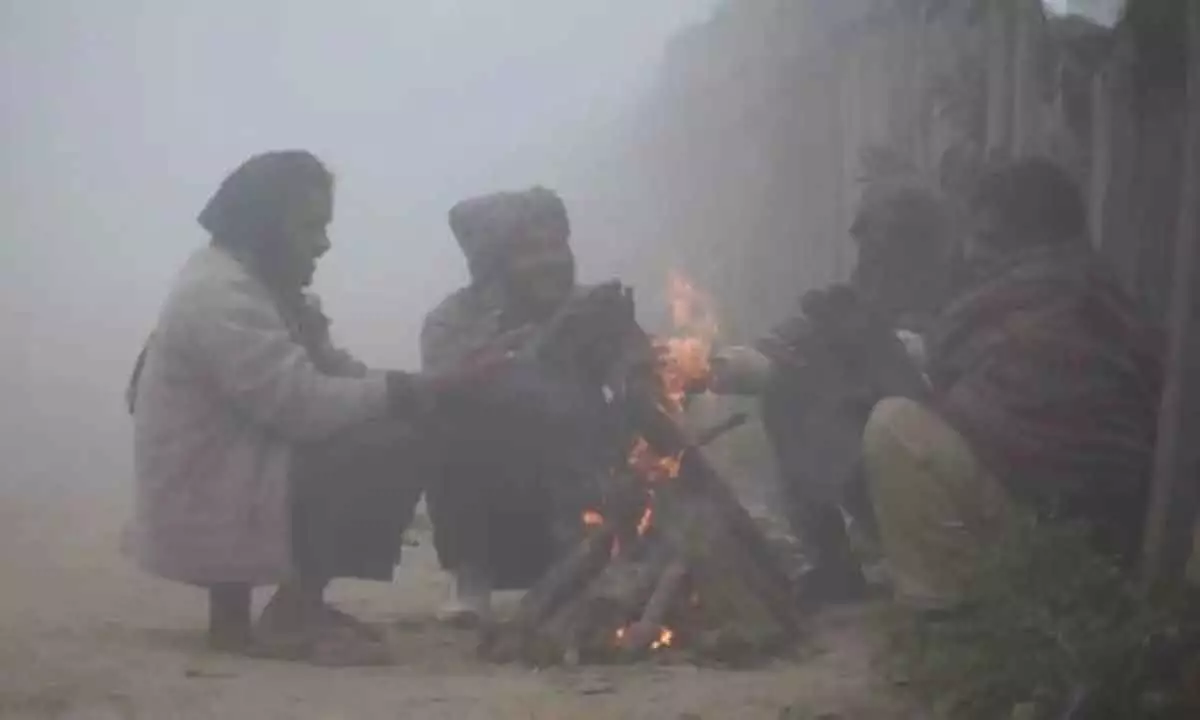 10 Tamil Nadu districts to get colder by 2-3 degrees, fog likely: IMD