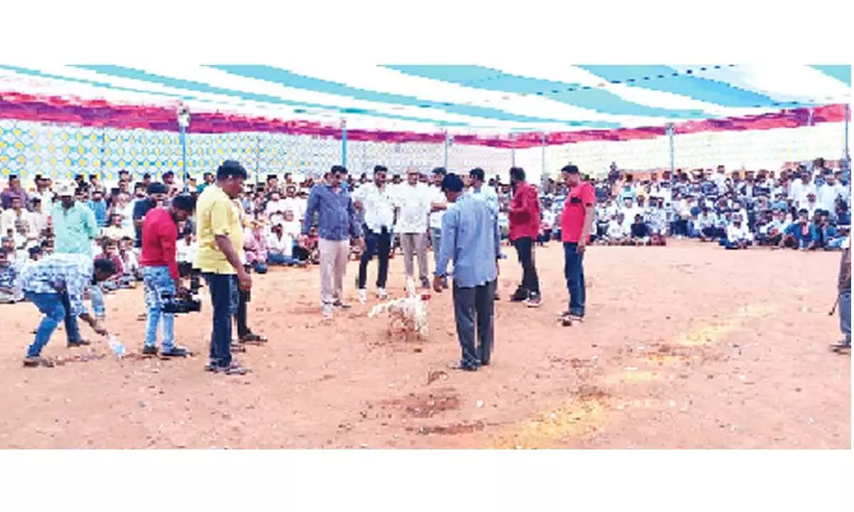Cockfight being organised on the outskirts of Nidadavolu village in  East Godavari district on Monday