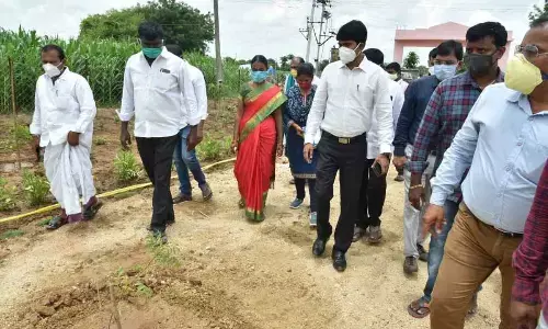 District Collector Narayana Reddy supervising the employment guarantee works