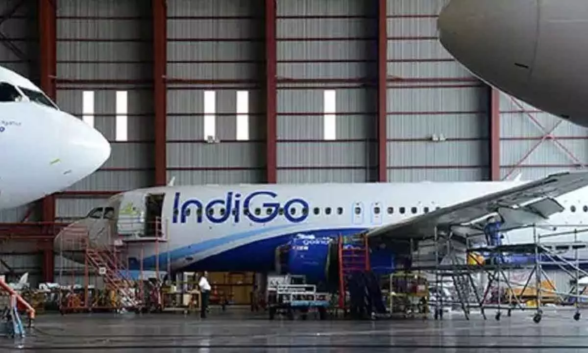 IndiGo passenger opens emergency door
