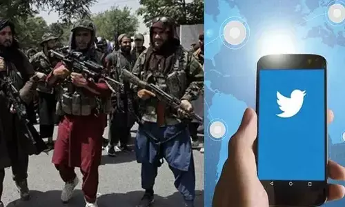 Taliban is buying Blue Ticks on Elon Musk Twitter