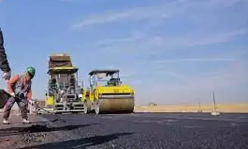 Delhi govt to construct central verges on three road stretches