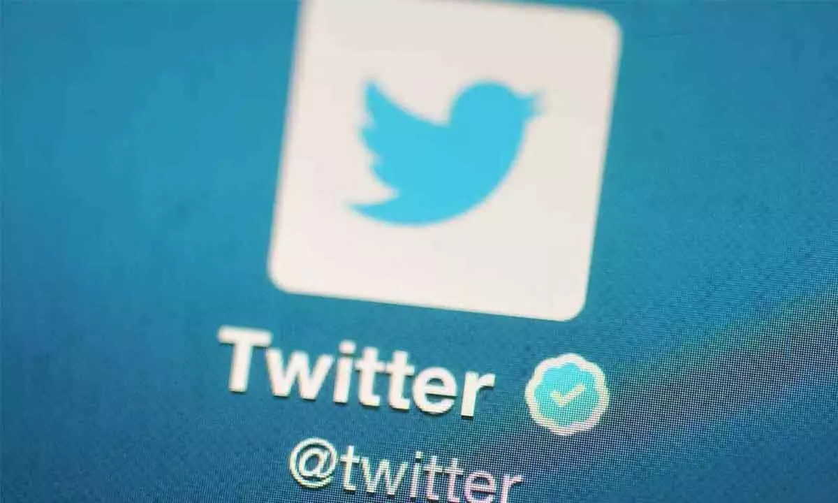 Twitter Blue annual subscription to get cheaper