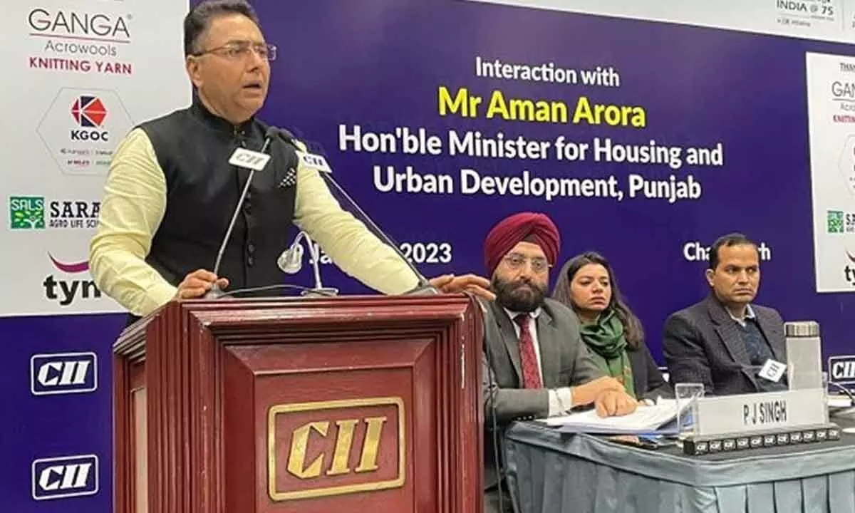 Punjab to address issues of industries: Aman