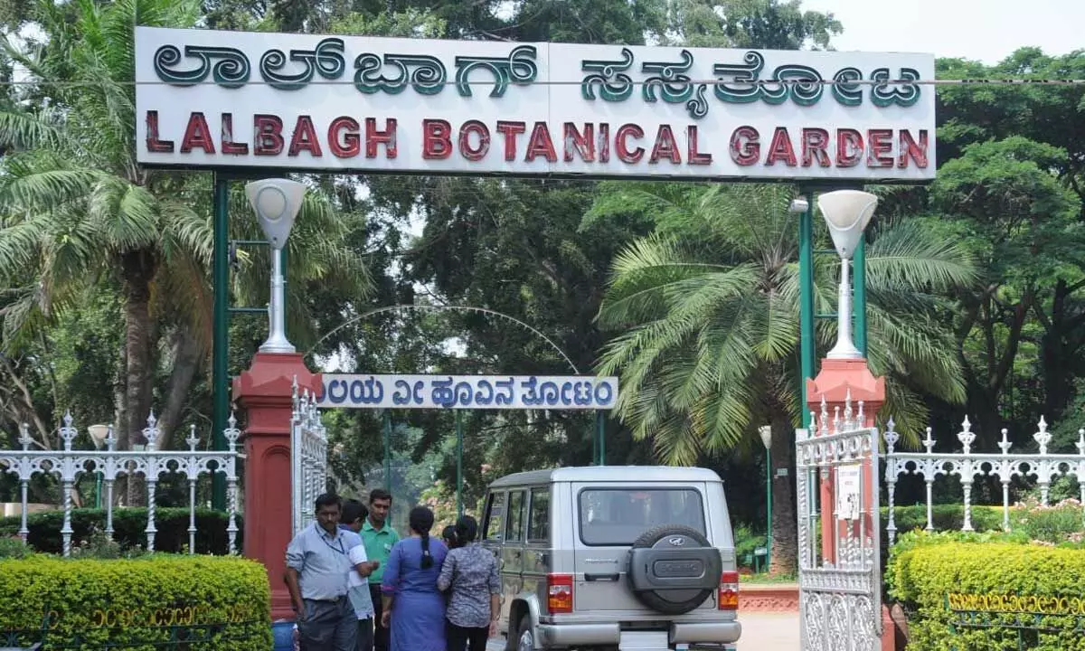 Vehicle ban in Lalbagh:  Only use of bicycles is allowed