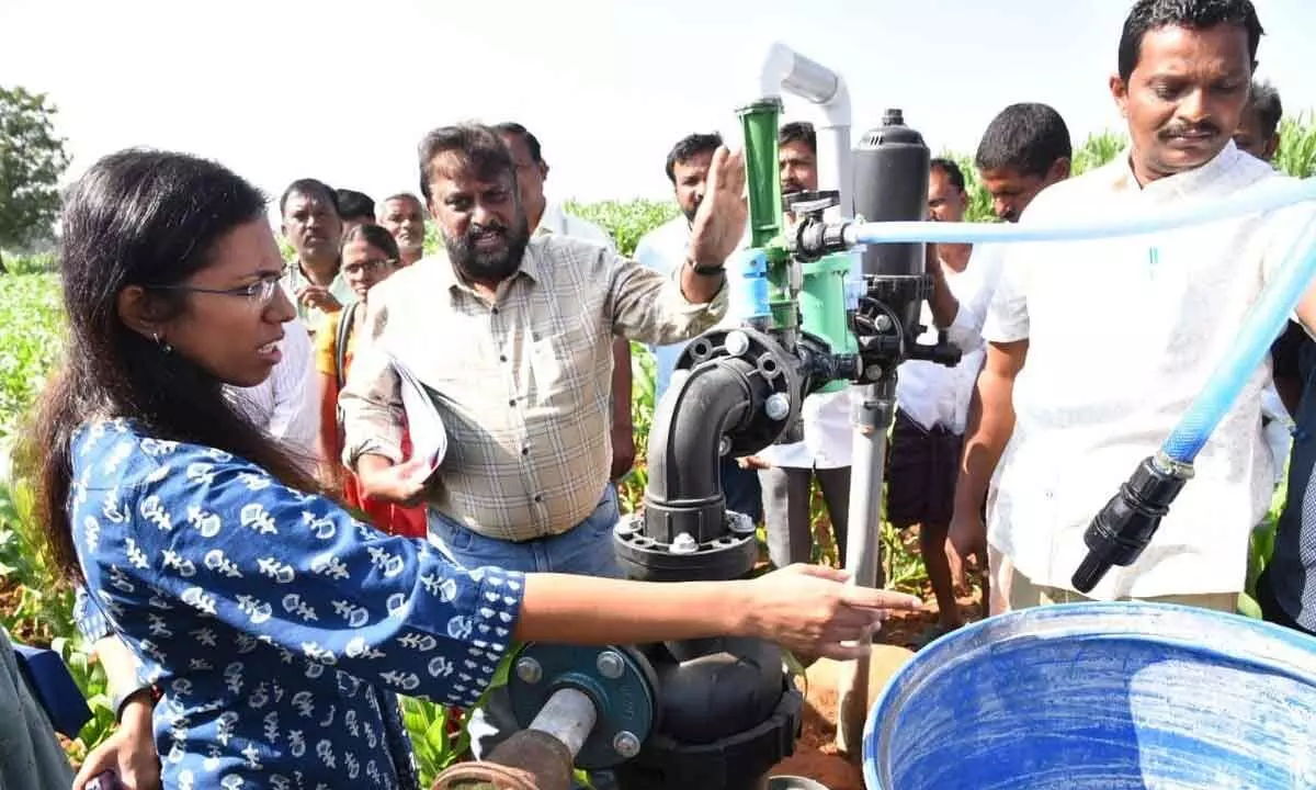 District Collector Nagalakshmi Selvarajan inspecting drip irrigation equipment in a farm field in Anantpur on Thursday