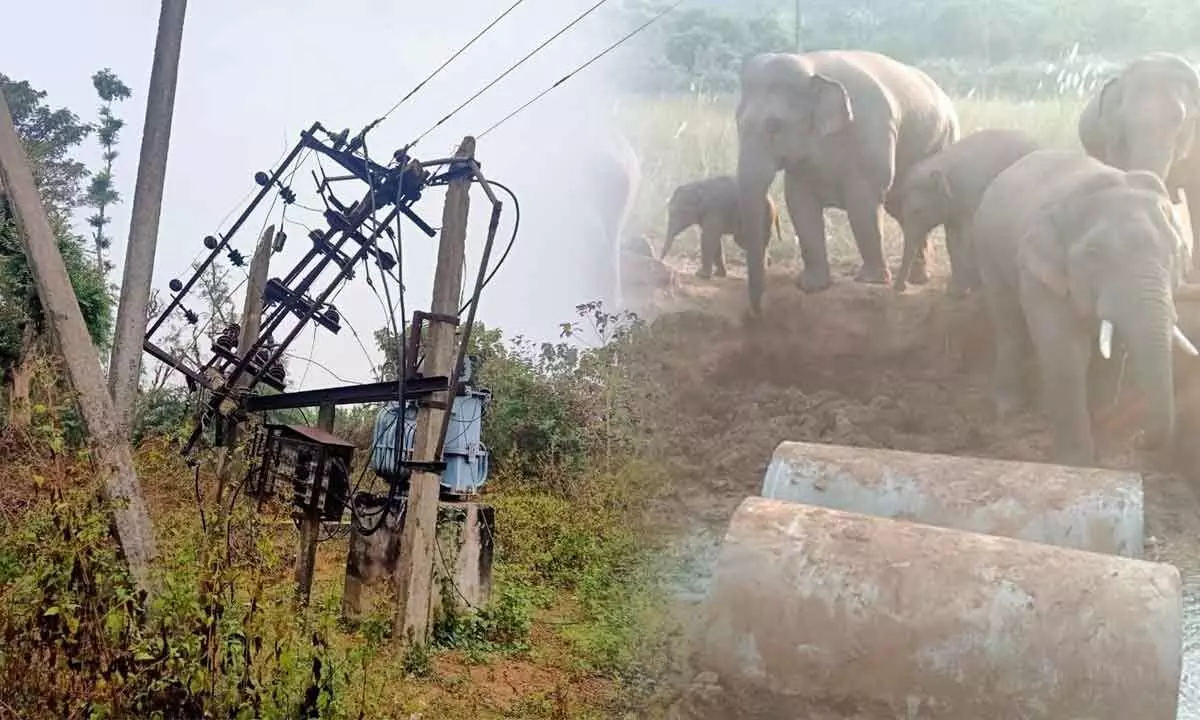 Jumbos drag transformer, village faces power cut