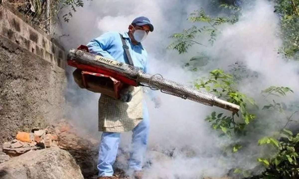 Bolivian region declares red alert for dengue