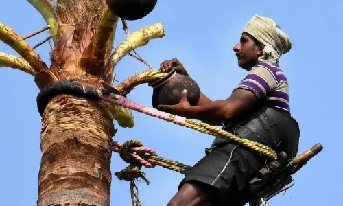 AP govt. announces YSR Geetha Karmika Bharosa scheme for welfare of toddy tappers