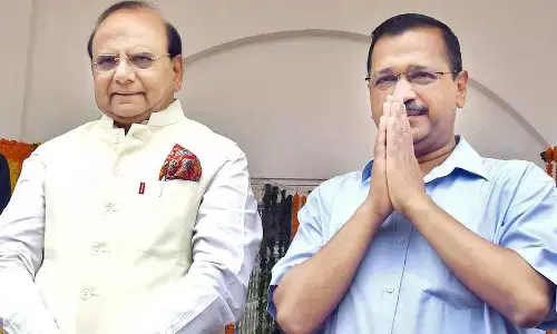 Govt again sends Finland file to L-G