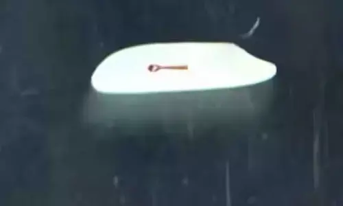 The image shows a wooden spoon by a Jaipur artist that is smaller than a rice grain.(Twitter/@GWR)