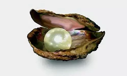 Pearl jewelry are favorite bridal jewelry, they represent eternal love, loyalty and start of new chapter.