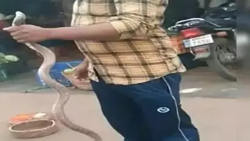 Young man dies of snakebite while taking selfie with it in Kandukur