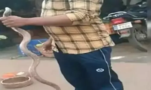 Young man dies of snakebite while taking selfie with it in Kandukur