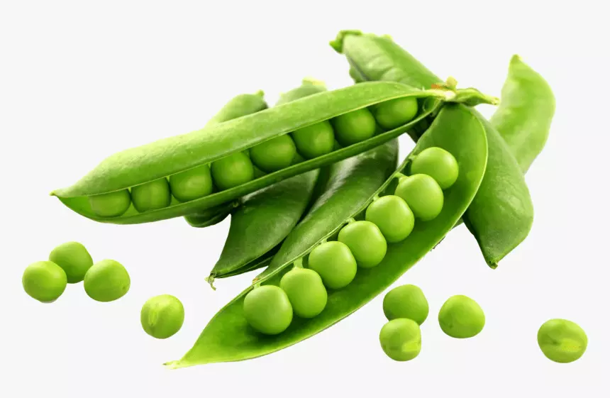 Amazing Health Benefits of Eating Green Peas in Winter