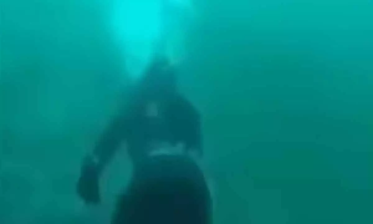 Old video shows a mans scary encounter with a white shark.(Twitter/@OodlyTeriffying)