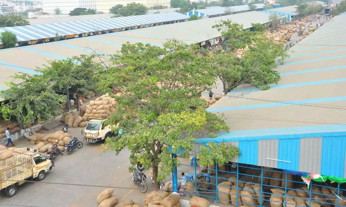 File photo of red chilli stocks at Guntur Mirchi Yard