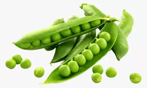 Amazing Health Benefits of Eating Green Peas in Winter