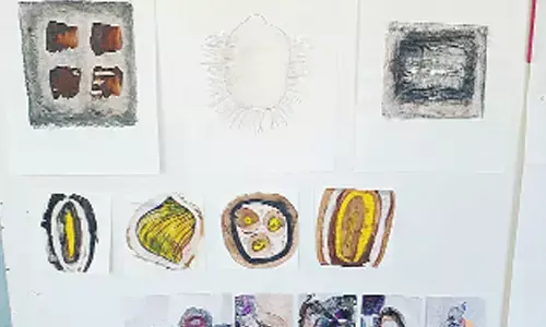 Flying Embers by Jameela Nishat and Katharina Holstein at Hyderabad Literary Festival