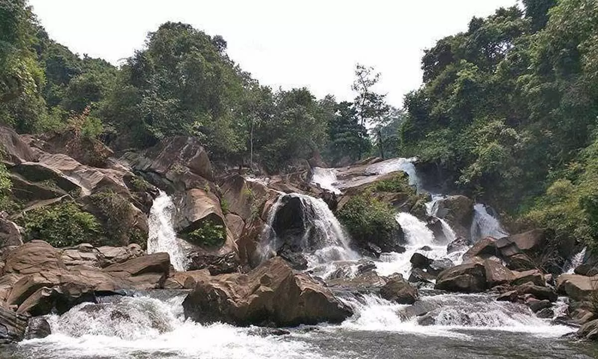 Rampachodavaram: Pollur Falls closed for visitors for five days