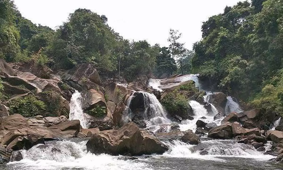 Temporary suspension of visits to Polluru waterfalls
